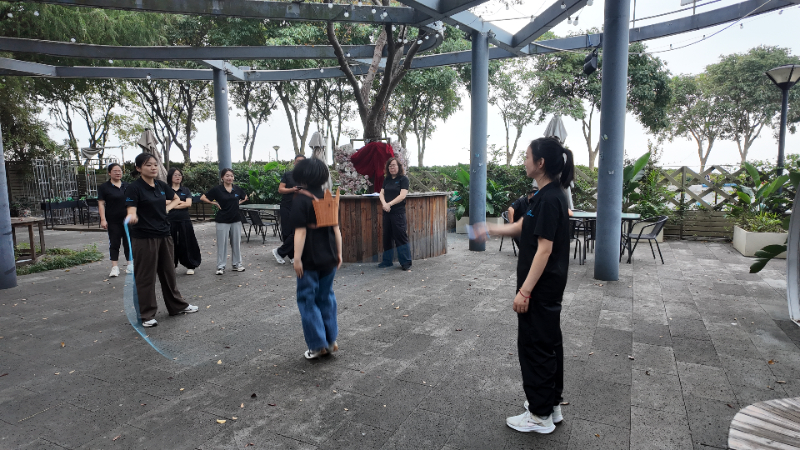 Master Well Team Game -Bouncing Ball